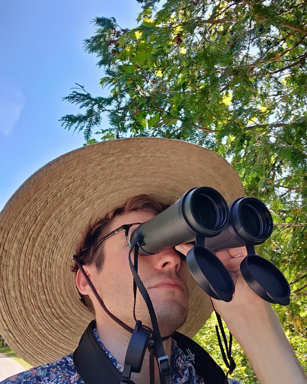 Garrett Merz in a wide-brimmed straw hat, looking up through binoculars beneath summer trees.